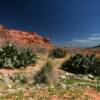 Desert shrubbery.
Valley of Fire.