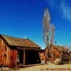 Ione, Nevada guest cabins