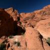 Red Rock Canyon.
Orange Calico's.