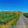 Countryside and ranchland-
near Deeth, Nevada.