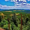 Santa Fe National Forest-northern New Mexico