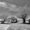 Stead, NM Post Office.
(black & white)