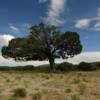 Eye-catching sight near 
Pinon, New Mexico.