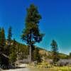 Typical New Mexico countryside-
near Jemez Springs~