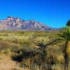 Southeastern New Mexico countryside-
Eddy County~