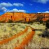 "Lover's Lane" 
Cibola County, New Mexico.