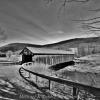 Fitches Covered Bridge.
(black & white)
Delaware County, NY.