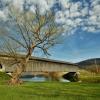 Downsvlle Covered Bridge.
(side angle--looking north).