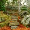 Ancient stone stairs~
McDowell County, NC.