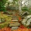 Ancient stone stairs~
McDowell County, NC.