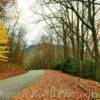 Blue Ridge Parkway
(Mile 320)
Late autumn foliage.