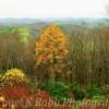 "Looking west"
Across the Appalachians~
(Near Cherry Lane, NC).