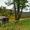 Typical western North Carolina
scenery~
(1800's home & barn)
Ashe County, NC