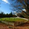 Presbyterian Church & Cemetary~
Along the Blue Ridge Parkway.