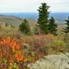 Scenic Mountain Overlook~
(Mile marker 304)
Blue Ridge Parkway.