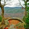 "Milepost 321 Lookout"
Blue Ridge Parkway.