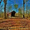 Bunker Hill Covered Bridge~
(Built in 1894)
Near Conover, NC.