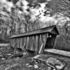 Pisgah Covered Bridge~
(black & white).