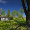 One of a number of abandoned early 1900's residences~
(Near Hamburg, ND).