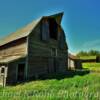 Mid-1900's barn & farm buildings~
Benson County, ND.