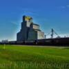 'Resting grain hauling rail cars'~
Pekin, ND.