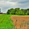 Eckelson, ND.
Rail yard & 1950's grain elevator~