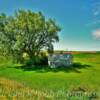 Scenic setting-'in the shade'~
Near Turtle Lake, ND.