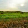 Rolling hay fields.
Rolettte County, ND.