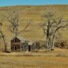 Old 'handsome' 1890's
farm house.
Grant County, ND.