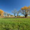 Late autumn.
Near Manning, ND.