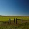 Another beautiful hayfield.
Dunn County, ND.