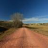 One of several backroads.
within the
Northern Roosevelt Grasslands.