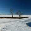 Pristine north plains of
Pierce County.