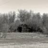 1930's farmstead barn.
Ruso, ND.