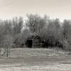 1930's farmstead barn.
Ruso, ND.