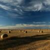 Mild December sunset on 
an open hay field.
Near Steele, ND.