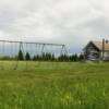 One more peek at this
old schoolhouse.
Williams County, ND.