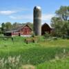 Picturesque old farm setting.
Near Edgeley, ND.