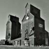 Twin metal-framed grain elevators~
(Near Valley City, ND)