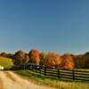 Typical southeast Ohio homestead.
Near Elk Fork, Ohio.