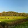 Southeast Ohio hayfield.
Near New Plymouth, Ohio.