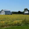 Another Ohio farm setting.