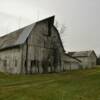 Abandoned old barn complex.
Northwest Ohio.