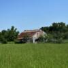 Tucked away old loft barn.
Near Fort Towson, OK.