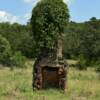 This lone standing chimney is the only sign of an 1870's farm dwelling near Snow, Oklahoma.