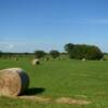 Picturesque rollong hayfield.
Cherokee County, OK.
