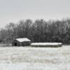 This same old farm shed and 
hey after a December snow.
