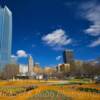 Oklahoma City Skyline~
(From Myriad Botanical Park)