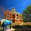 Beckham County Courthouse~
Sayre, Oklahoma.