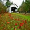 Wendling Covered Bridge~
(built in 1938)
Near Marcola, Oregon.